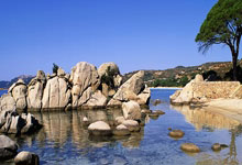 瑞典超第10轮埃尔夫斯堡vs尤尔加登，这场北欧对决谁能笑到最后？